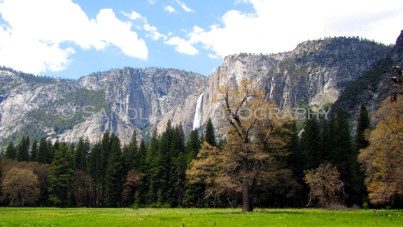 http://www.sandlerphotography.com/Photos/Yosemite May 2010 1318 -  -2 -LR.JPG